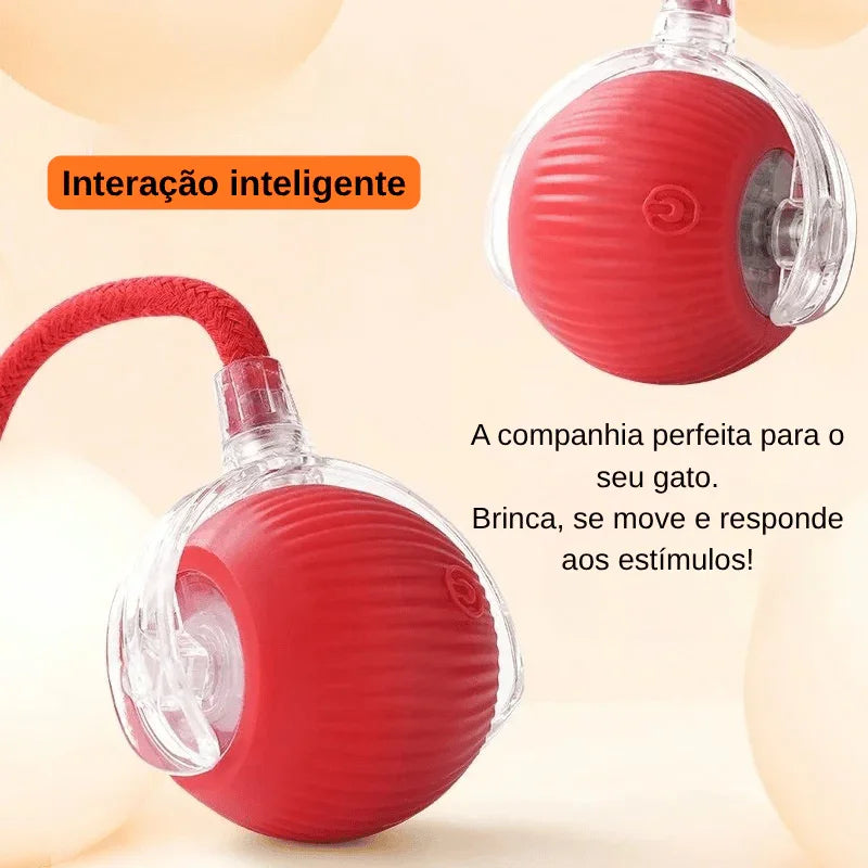 Bola Interativa Inteligente para Pets